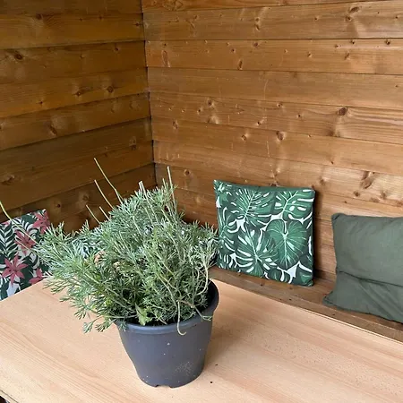 Du Bois Iv Chalet Durbuy