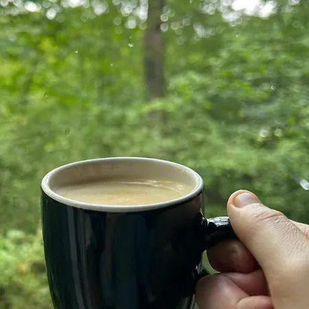 Chalet Du Bois Iv Durbuy